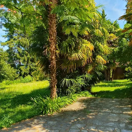 Casa Paradiso Διαμέρισμα