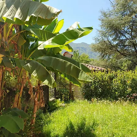 Διαμέρισμα Casa Paradiso *